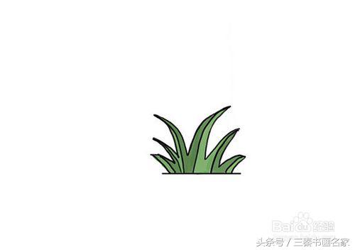 小草怎么画1000种画法,怎么样画小草又简单又好看