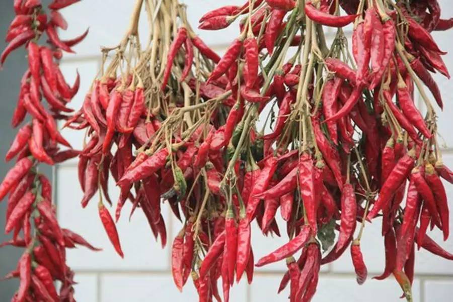 父亲的秋天现代文阅读,父亲的秋天阅读答案