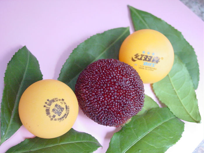 寻找最美旅行地稻城亚丁,福建最美摩旅