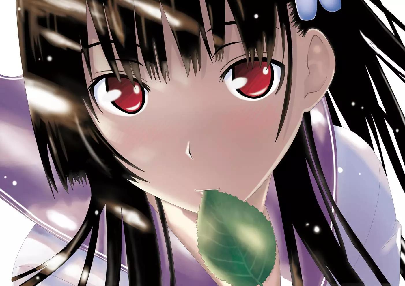 散华礼弥哪张壁纸最好看,散华礼弥壁纸图鉴