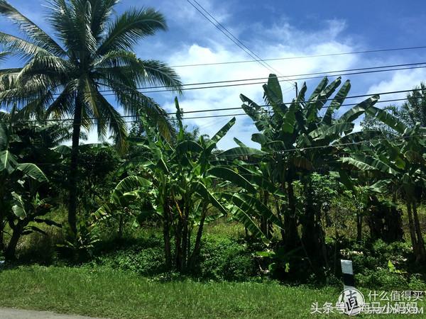 仙本那考潜水证日程,去仙本那潜水要考什么证