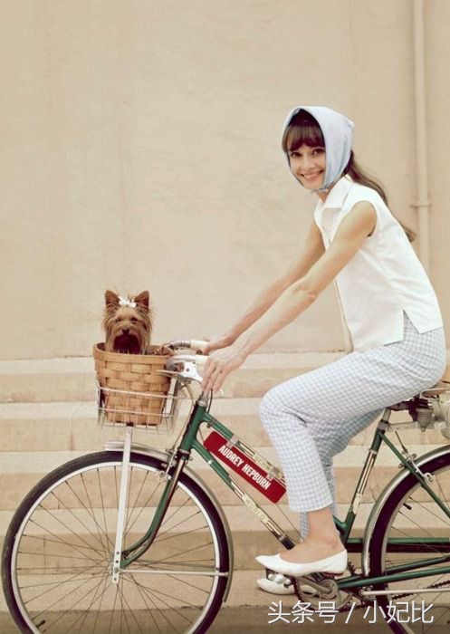 super73复古单车 (复古单车平价)