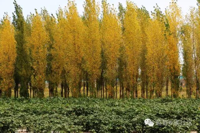 开着房车旅行说走就走,说走就走出去玩视频