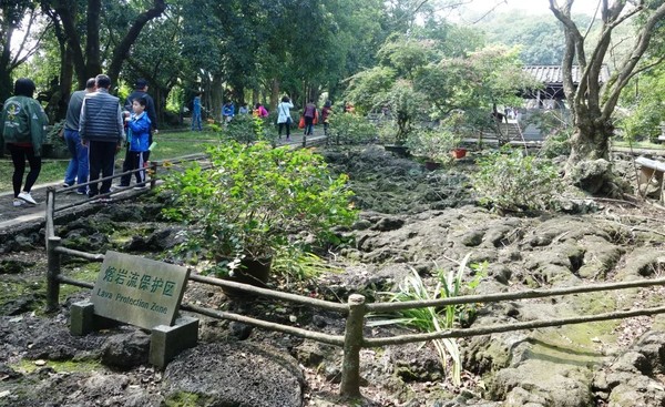 全家去三亚自驾过年攻略,十一月份带全家去三亚