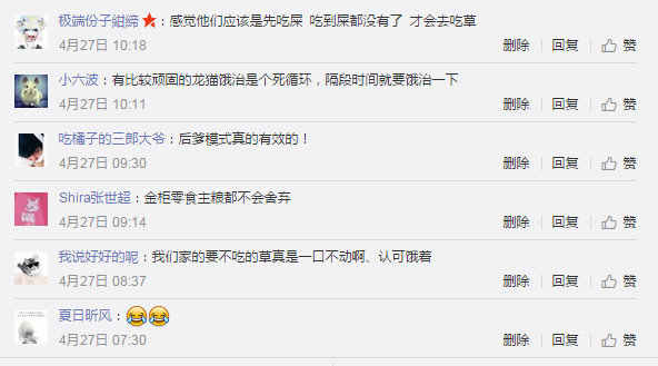 龙猫怎么才能不掉毛,龙猫挑食不吃主粮怎么办