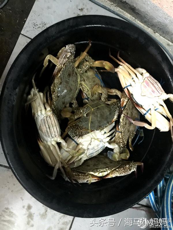 仙本那考潜水证日程,去仙本那潜水要考什么证