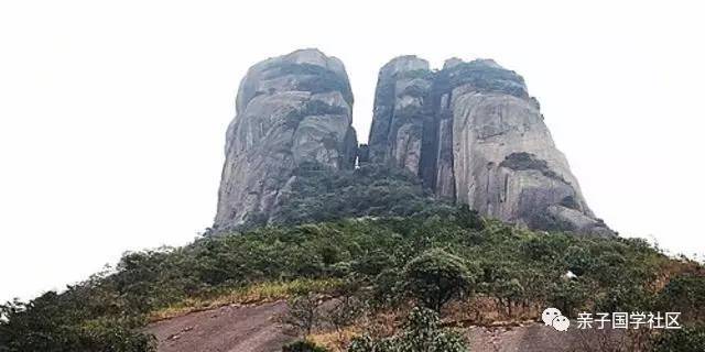 湘妃斑竹到底什么意思,湘妃竹的传说图片