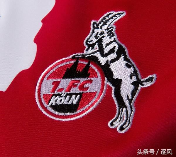 广州恒大登上亚洲之巅新闻报道,广州恒大队徽2颗星