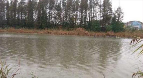 钓鱼人太牛！大风大雨中垂钓也能迎来鲤鲫大丰收