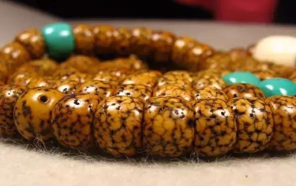 星月菩提刚开始玩就碰水变红了,星月菩提泡液体实验