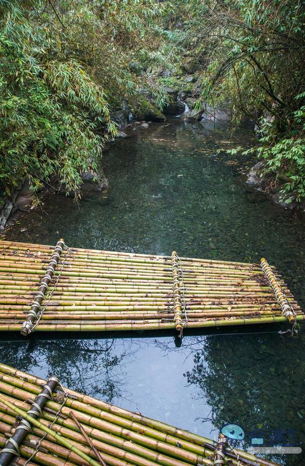 戏猴、爬山、观瀑布，那就跟我去卧龙谷！