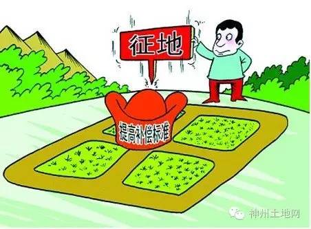 土地百科|自留地和承包地“待遇”一样吗?