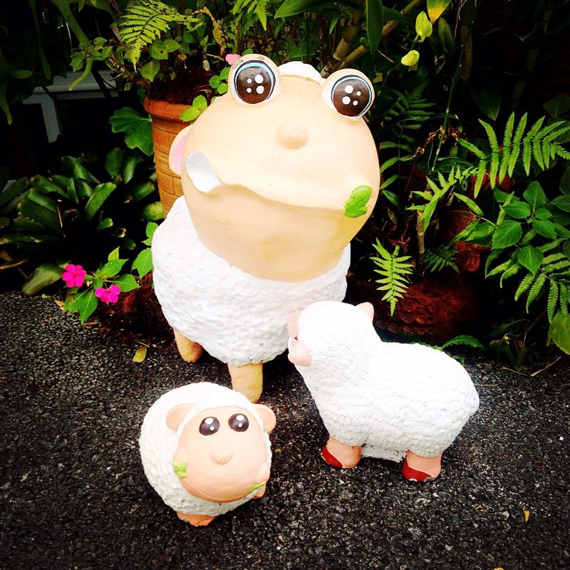 泰国天堂沙滩旅游,泰国天堂之城视频