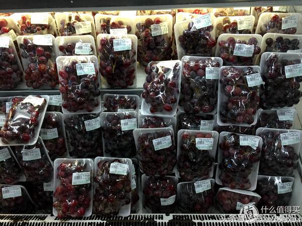 仙本那考潜水证日程,去仙本那潜水要考什么证