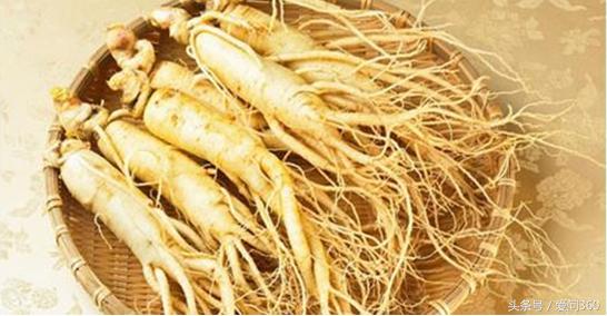 人参的十大神奇功效与作用是什么,人参几个特殊的功效和作用有哪些