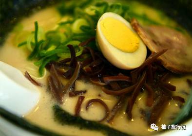 樱花旅行记全集视频,樱花季日本14天旅游攻略