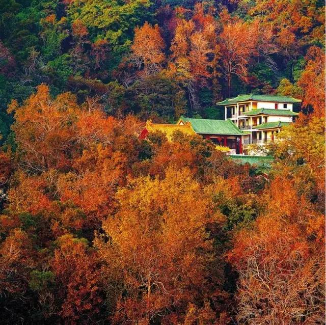 情侣每年都去一个地方拍照,情侣旅行同一个地方拍照