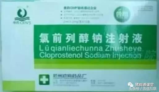 母猪多产仔的三大秘诀,母猪多产仔的9大秘诀