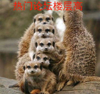 微商拓客100招,母婴微商拓客引流最新方案