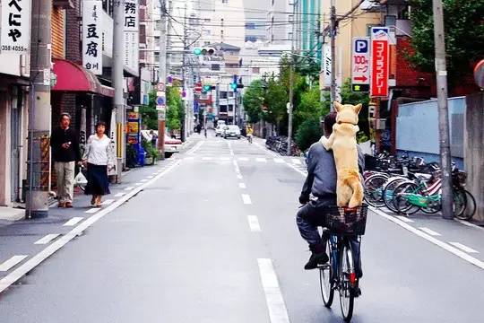 全日空正常飞日本票价,全日空和日本航空