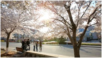 中国海洋大学真的没有海吗？