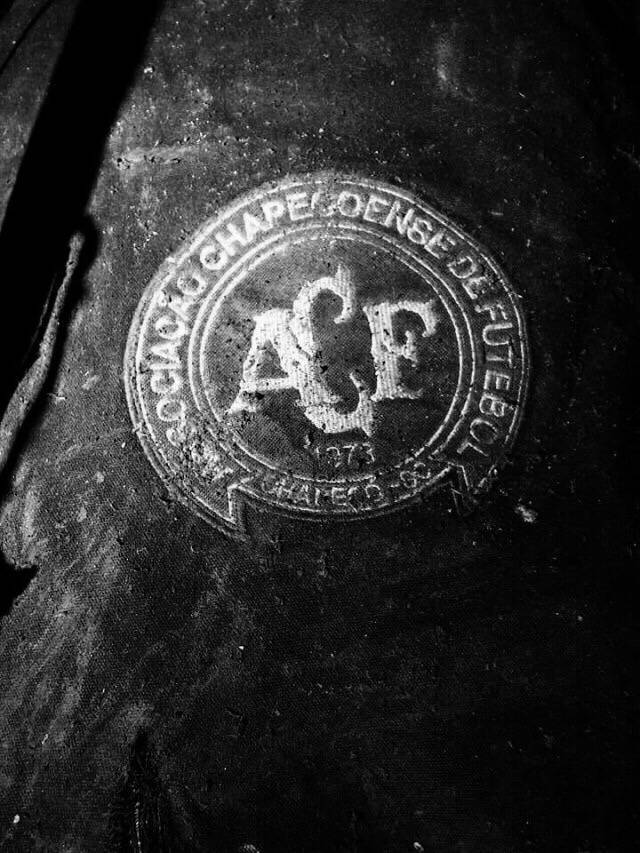 生命虽逝精神永存,生命虽逝大爱永存