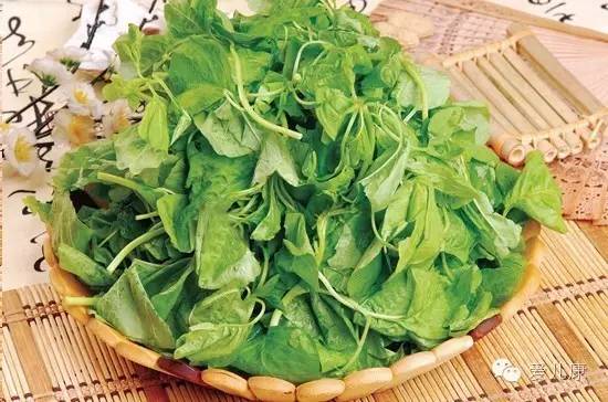 孕妇能吃苋菜吗苋菜的家常做法,孕妇吃苋菜可以补血吗