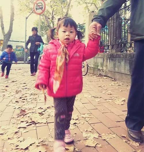 上海落叶不扫景观道,上海秋天不扫落叶的街道