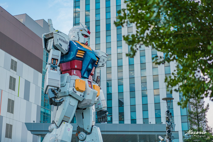 粉红猪小妹与小猪佩奇,粉红猪小妹的快乐生活