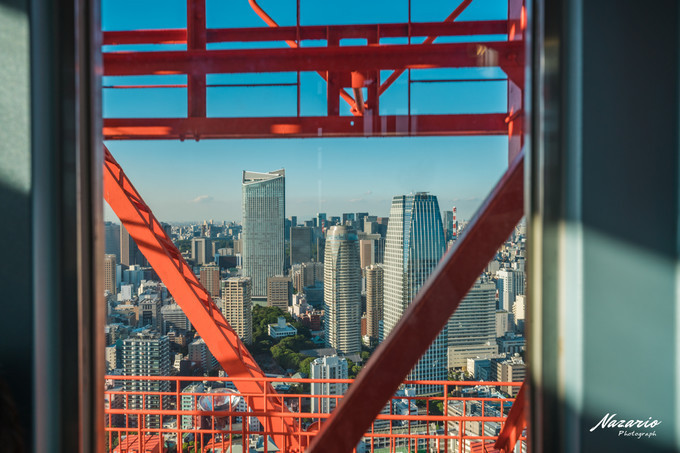 粉红猪小妹与小猪佩奇,粉红猪小妹的快乐生活