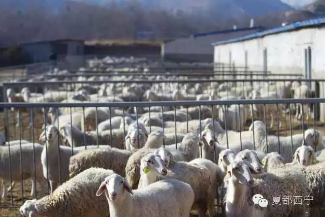 大通贫困村,大通县最穷的三个乡