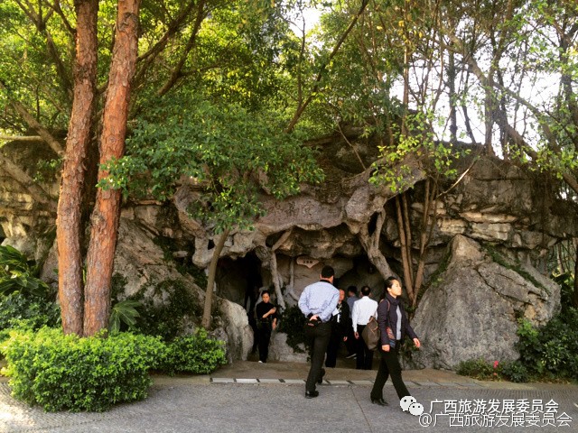 深度关注我县吹响旅游复苏新号角,广西双创示范基地