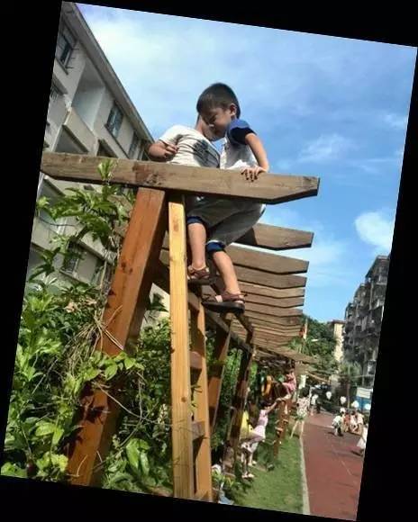 厦门湖里最美幼儿园,厦门湖里智慧树幼儿园