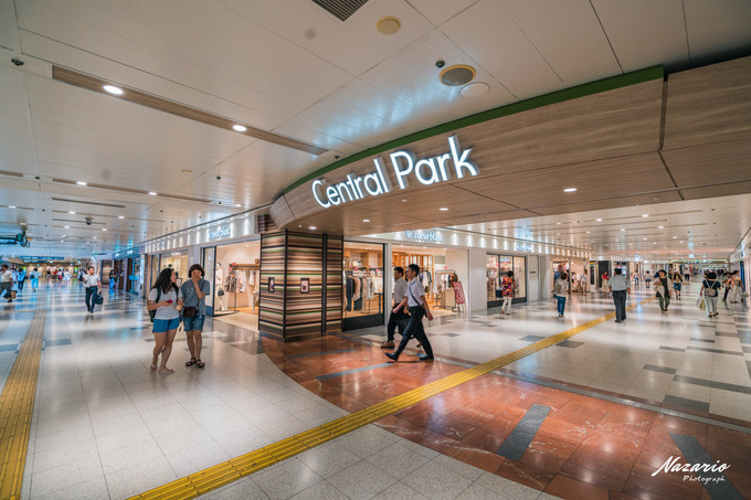 粉红猪小妹与小猪佩奇,粉红猪小妹的快乐生活