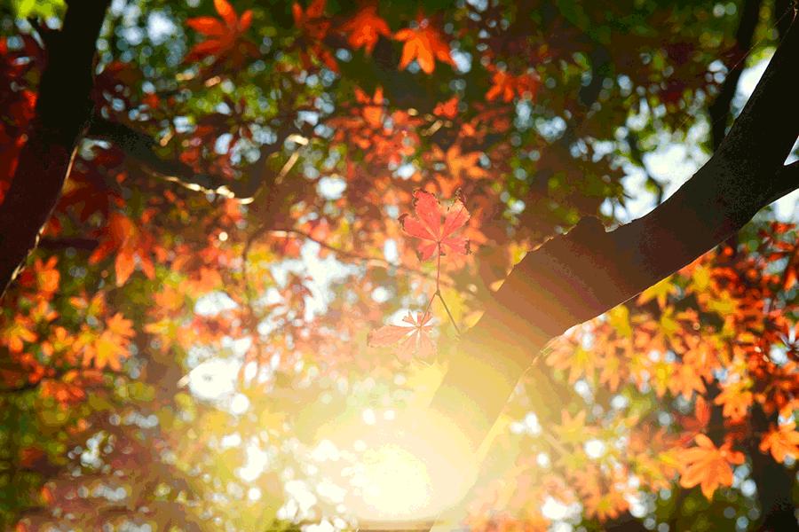 这几天千万不要来北师珠！