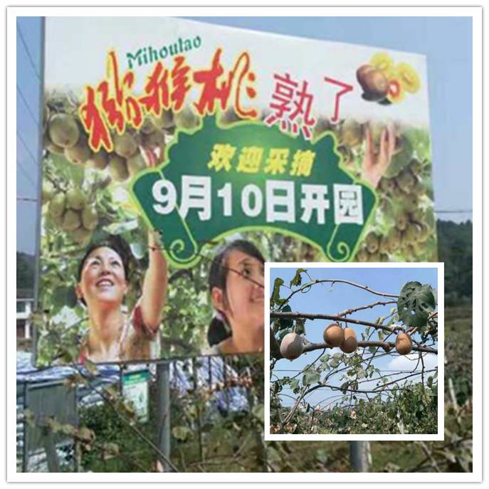 美醉的风景、精巧的技艺……邵阳的互联网+村淘、村游、村织棒棒哒！