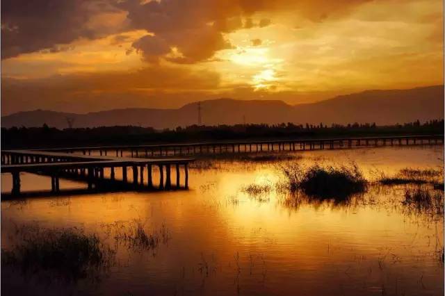 各个省份选美大赛,甘肃选美大赛冠军