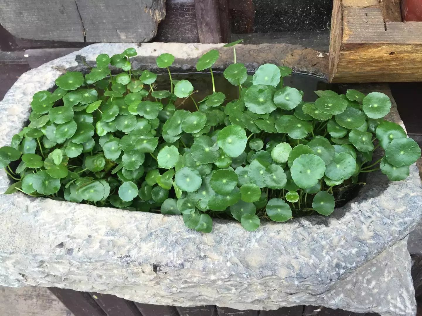 记录湘西凤凰快乐之旅,一天两晚的凤凰之旅完美结束