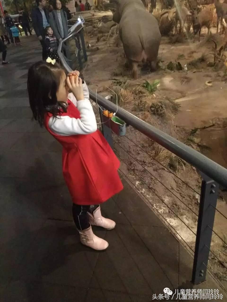 上海天文馆和科技馆哪个更值得去,上海儿童科技馆游玩攻略图片