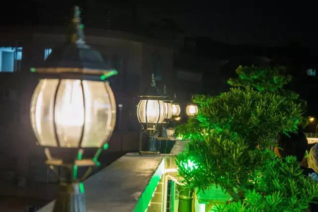 澶氳倝妞嶇墿椁愬惂,妤奸《澶氳倝鑺卞洯椁愬巺