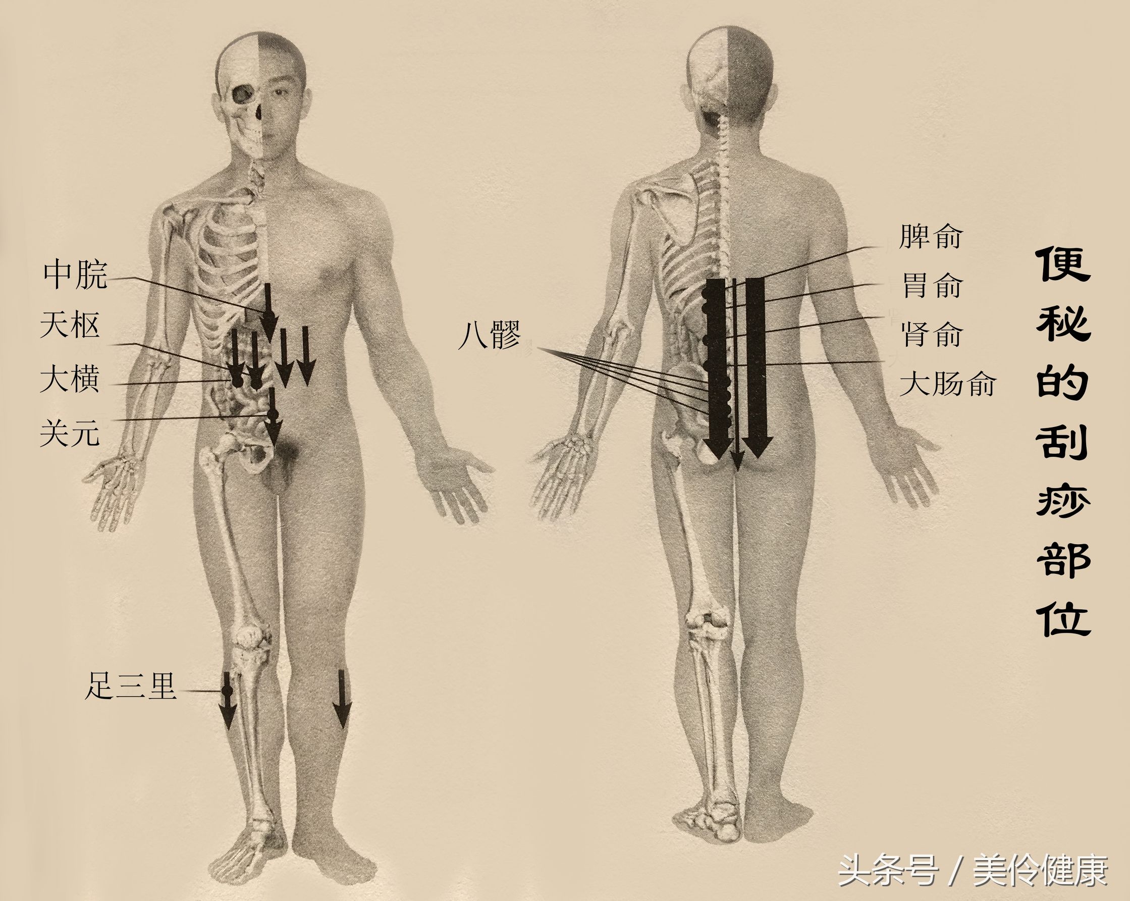促进肠道蠕动的刮痧方法,便秘中医穴位刮痧治疗
