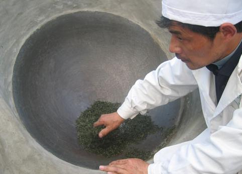 信阳毛尖制作全过程图,信阳毛尖的制作过程