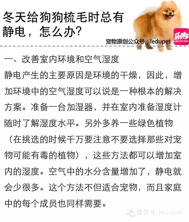 狗狗剪指甲总流血止不住怎么办,狗狗剪指甲流血沾了水怎么办