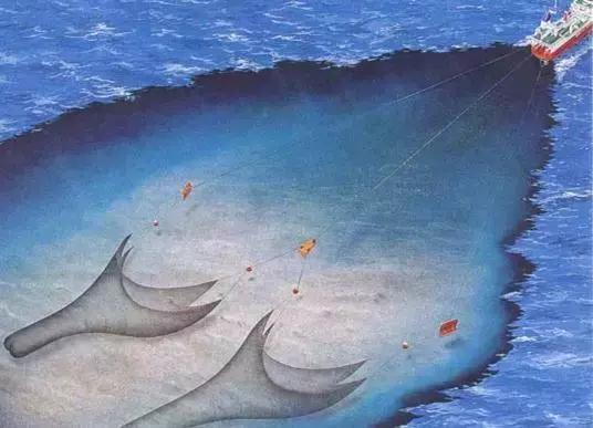 你以为这是“垃圾”!却不知有人这样用它们赚大钱!