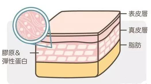 深扒｜十款超人气口服美容品，由内而外变美，就问你要不要！