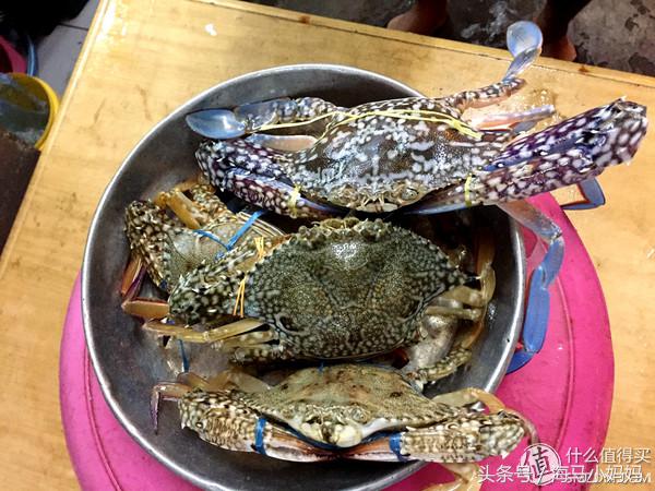 仙本那考潜水证日程,去仙本那潜水要考什么证