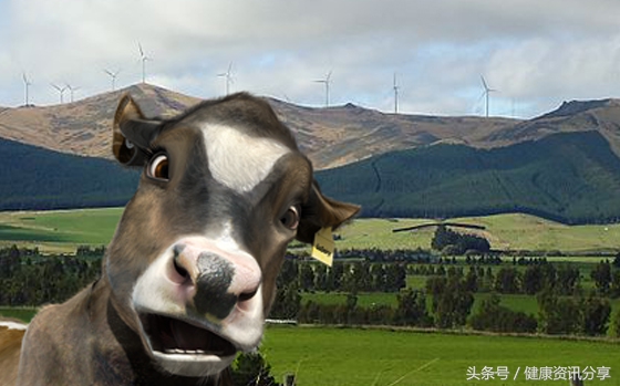 新西兰奶粉日期怎么看,新西兰奶粉正宗吗