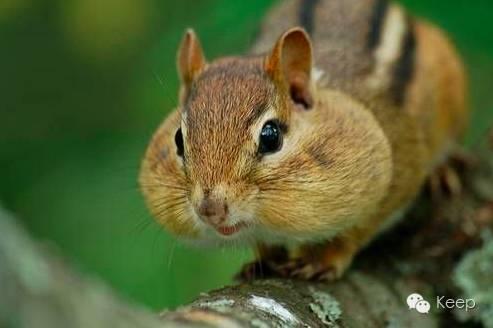 除了中分之外，健身能不能拯救你的大饼脸？