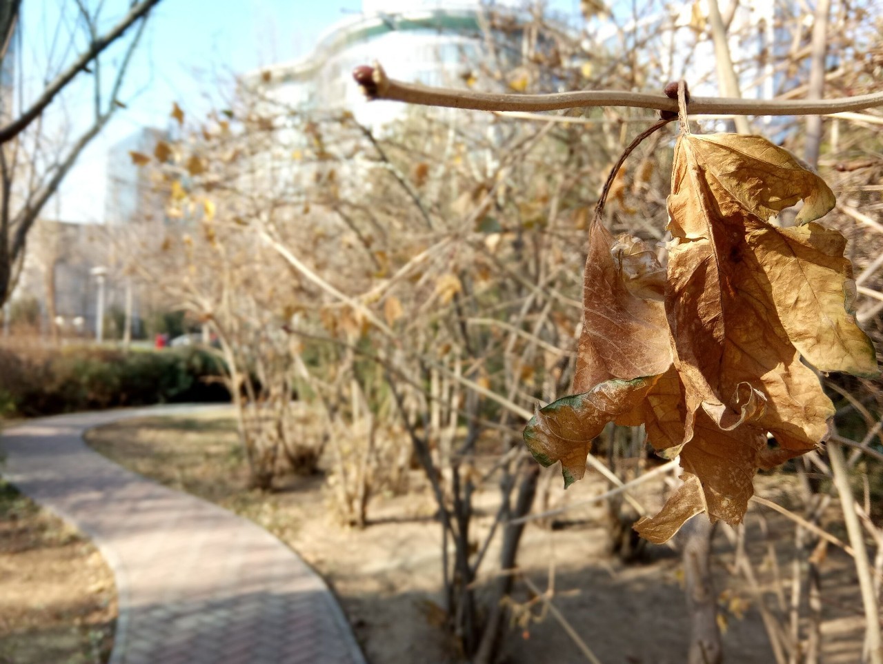 金立s9到底怎么样,金立s9性能怎么样