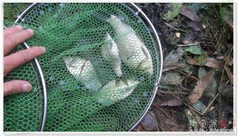 两钓一闲水凑成一个发